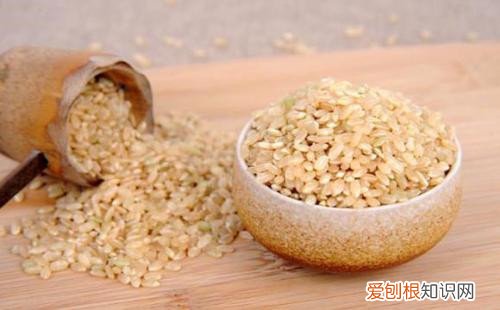 糙米是什么米糙米怎么吃减肥