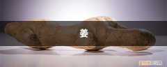 花盆栽姜需要什么土 想要盆景不用买！放块“生姜”在土里，几月长成“小树林”
