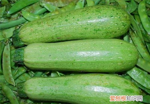 北瓜和南瓜的区别北瓜和南瓜营养价值谁更高