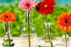 生根粉能用吗 买的“生根粉”还没扔？在家自己做这3种“水”，效果好还实惠