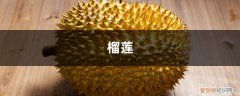 榴莲刺上长毛 给花吃点榴莲皮，1根枝冒40朵花，越臭越好用！