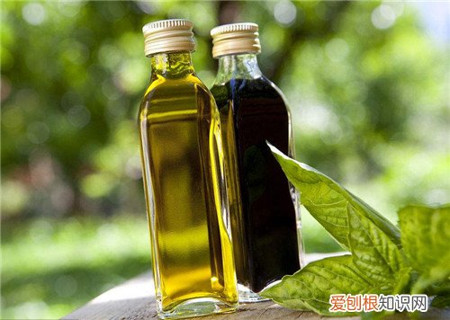 橄榄油排行榜2018哪个品牌的橄榄油好