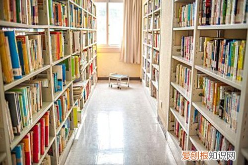 图书馆书架尺寸标准 书架如何选购
