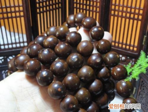 佛珠材质有哪些佛珠什么材质的有灵性