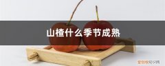 山楂什么季节成熟最好 山楂什么季节成熟