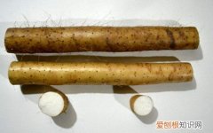麻山药怎么吃麻山药和白山药的区别介绍
