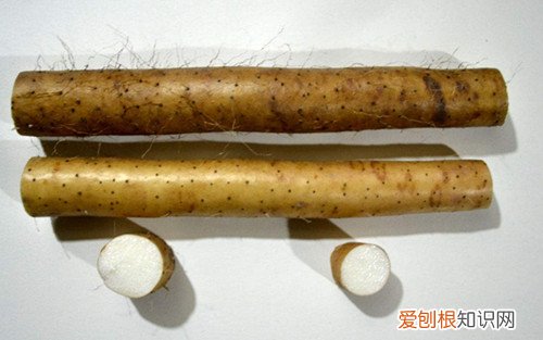 麻山药怎么吃麻山药和白山药的区别介绍