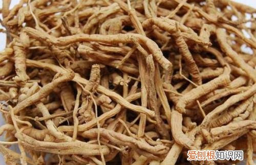 远志的作用与功效 远志服用多了有什么副作用