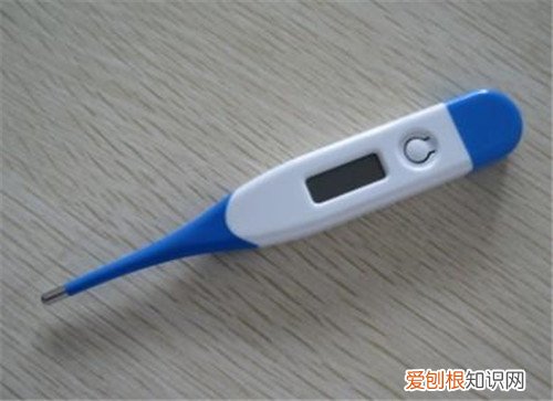 电子体温计哪个牌子好电子体温计怎么用