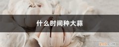 什么时间种大蒜视频 什么时间种大蒜