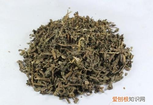 败酱草的功效与作用分析绝对令你大吃一惊
