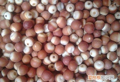 芡实的功效与作用及食用方法芡实怎么吃补肾