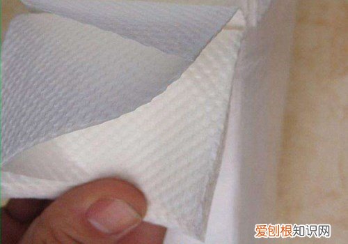 擦手纸什么牌子的好 如何选择擦手纸