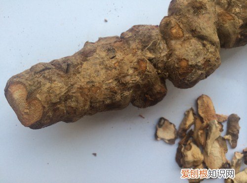 土茯苓图片欣赏 土茯苓有哪些作用