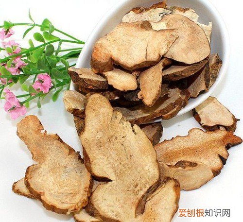 土茯苓图片欣赏 土茯苓有哪些作用
