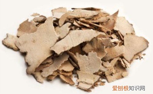 土茯苓图片欣赏 土茯苓有哪些作用