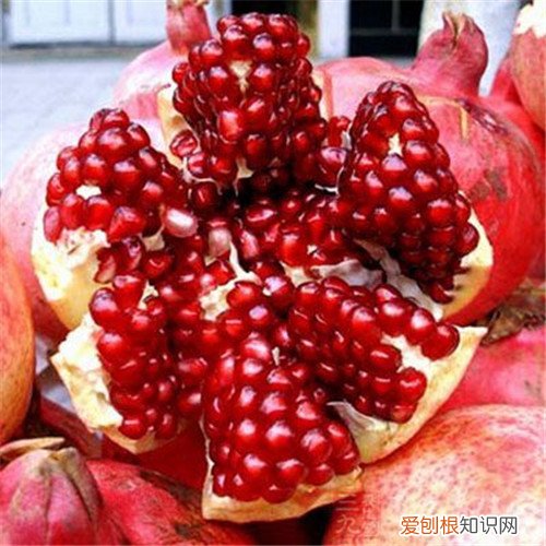酸石榴怎么吃吃酸石榴有什么好处