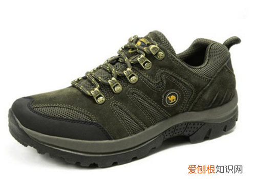 骆驼鞋好不好 如何防止买到假的骆驼鞋