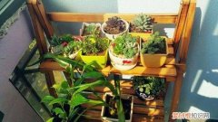 如果不用农药杀灭害虫那用什么方法来杀灭土壤里的害虫 学着这样给“土壤”消消毒，虫子少