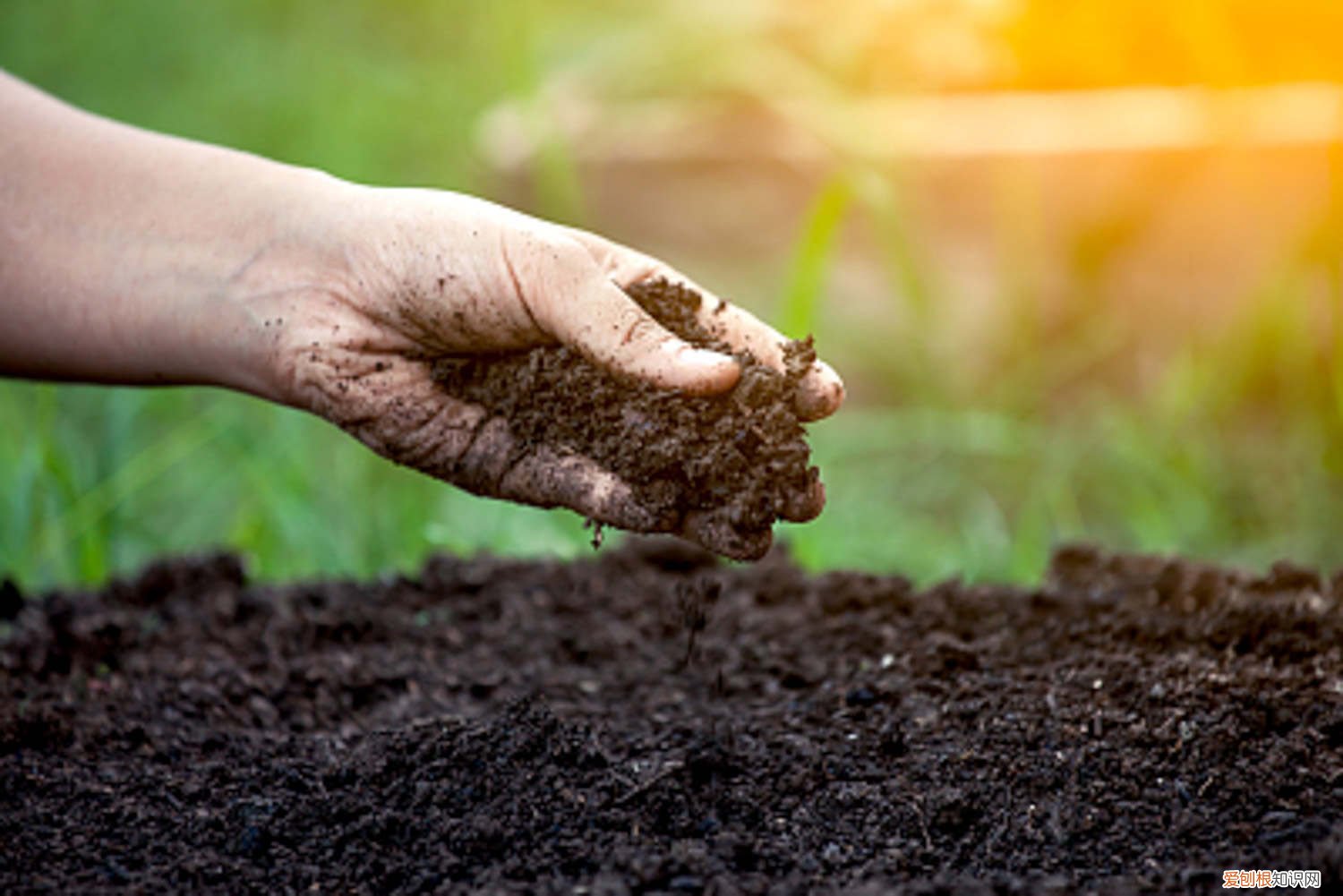 赤玉土怎么用合理 赤玉土怎么用