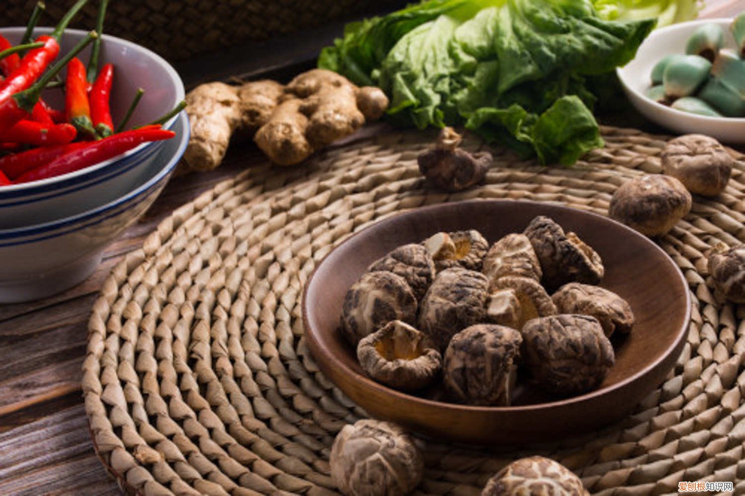 蘑菇有哪些种类图片 蘑菇有哪些种类