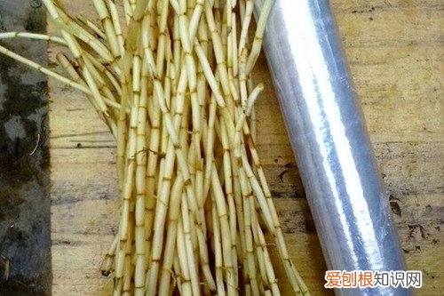 白茅根泡水喝的功效白茅根和鱼腥草的区别分析