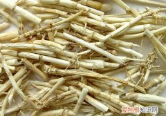 白茅根泡水喝的功效白茅根和鱼腥草的区别分析
