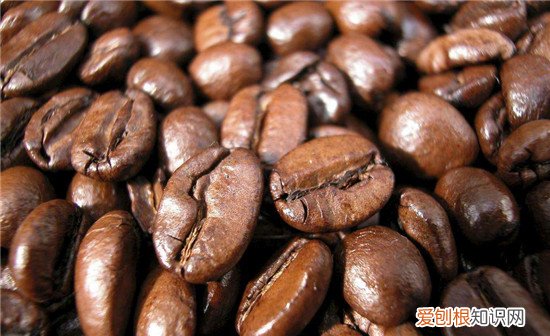 咖啡豆多少钱一斤哪个牌子的咖啡豆好