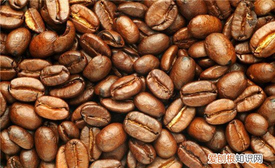 咖啡豆多少钱一斤哪个牌子的咖啡豆好
