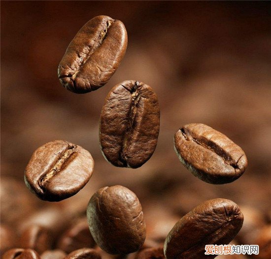 咖啡豆多少钱一斤哪个牌子的咖啡豆好