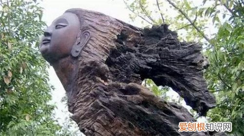 乌木怎么鉴别乌木多少钱一吨