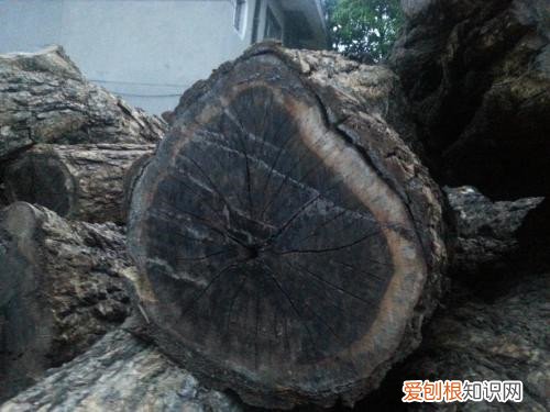 乌木怎么鉴别乌木多少钱一吨