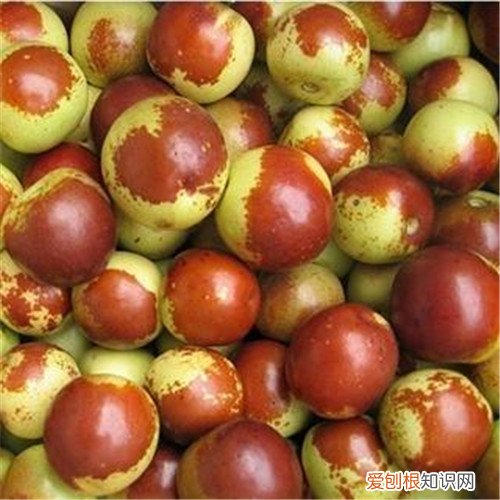新鲜枣子的功效与作用新鲜枣子多少钱一斤