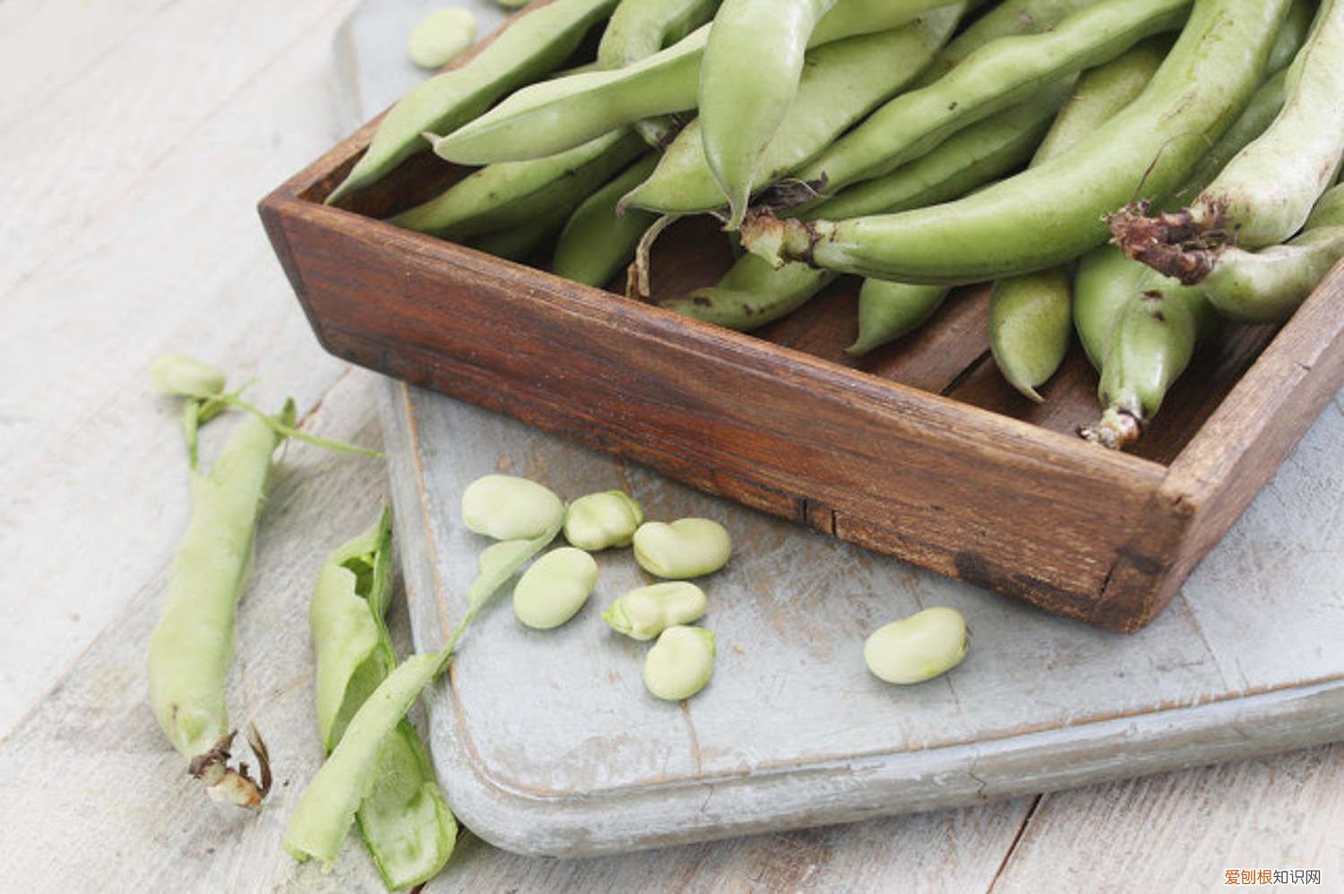 晚豆角什么时候种合适黑龙江 晚豆角什么时候种