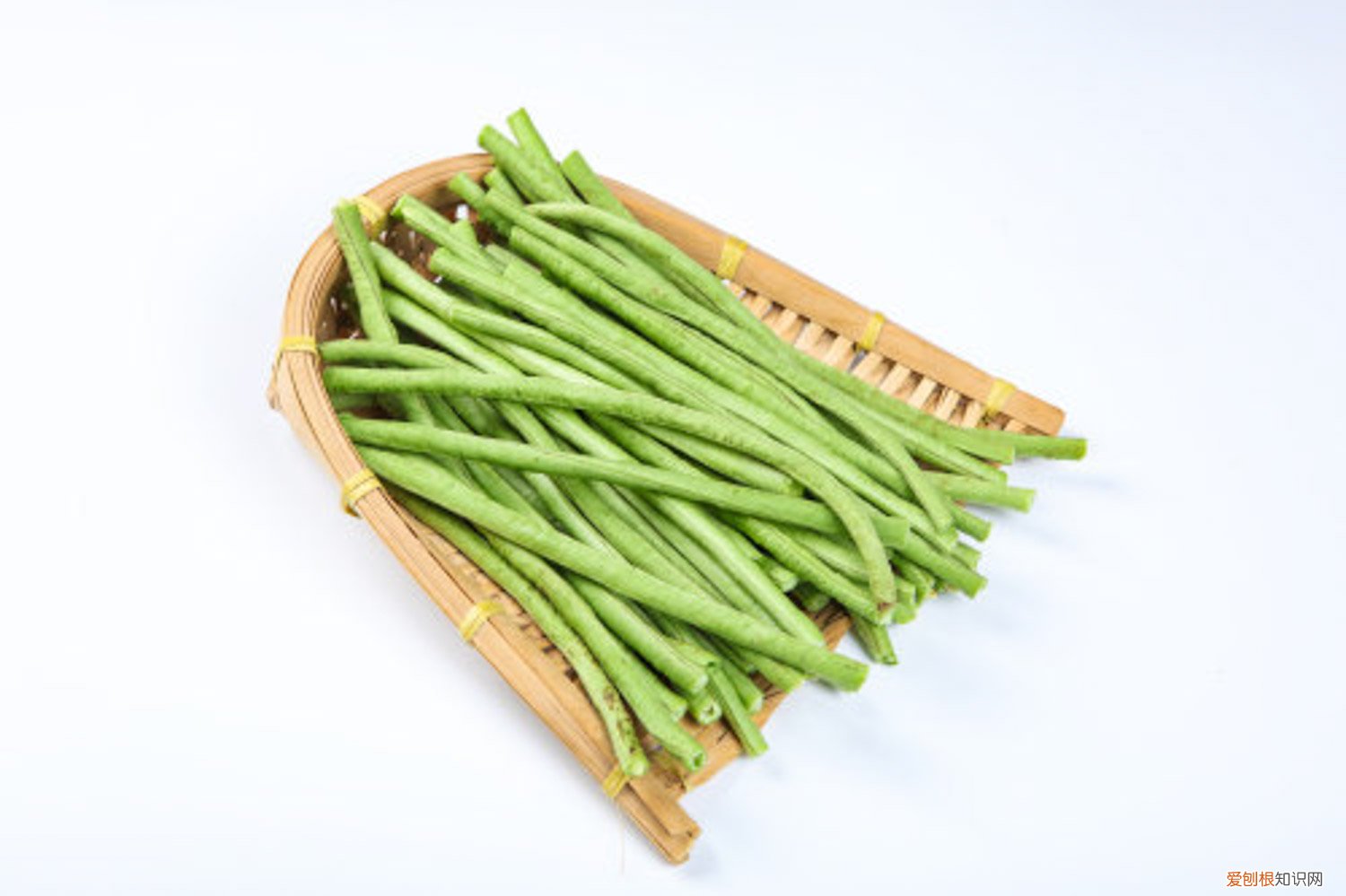 晚豆角什么时候种合适黑龙江 晚豆角什么时候种