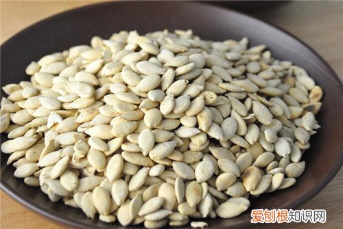 冬瓜子的功效与作用 冬瓜子的食用价值介绍