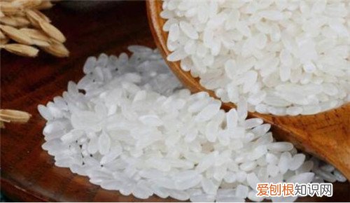 大米价格多少钱一斤如何购买到放心的大米