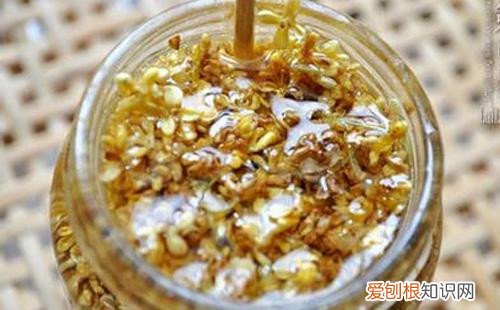 桂花蜜的功效与作用桂花蜜怎么做好吃