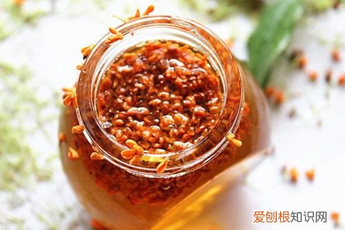 桂花蜜的功效与作用桂花蜜怎么做好吃