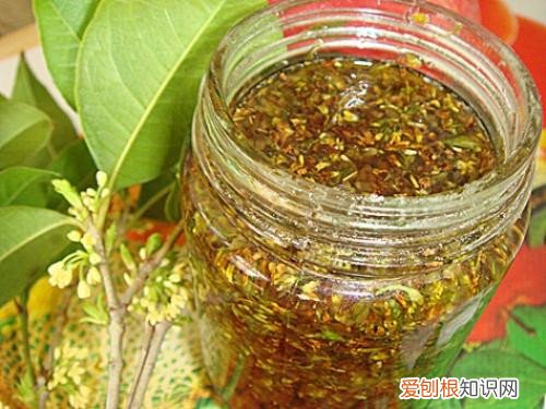 桂花蜜的功效与作用桂花蜜怎么做好吃