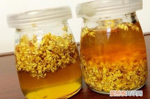 桂花蜜的功效与作用桂花蜜怎么做好吃