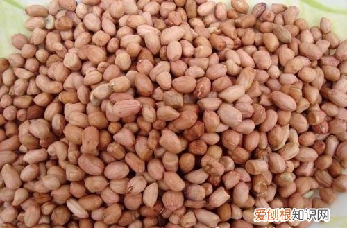 五香花生的做法常吃花生米有什么好处