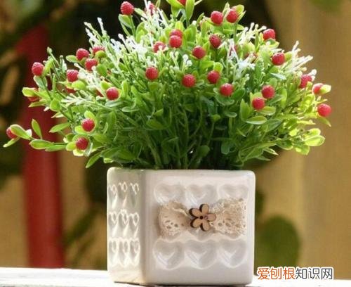 洋桔梗花语是什么冬天怎么养花才能养好