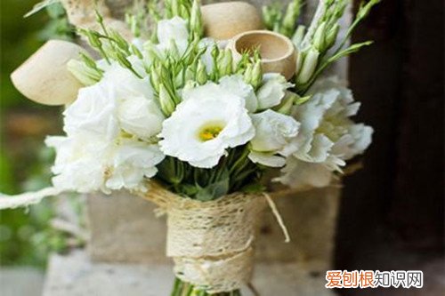 洋桔梗花语是什么冬天怎么养花才能养好