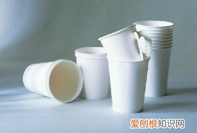 泡茶杯子用什么最好 哪些杯子不能用