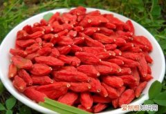 宁夏枸杞子多少钱一斤 枸杞子有什么功效作用