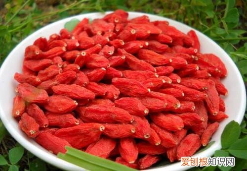 宁夏枸杞子多少钱一斤 枸杞子有什么功效作用