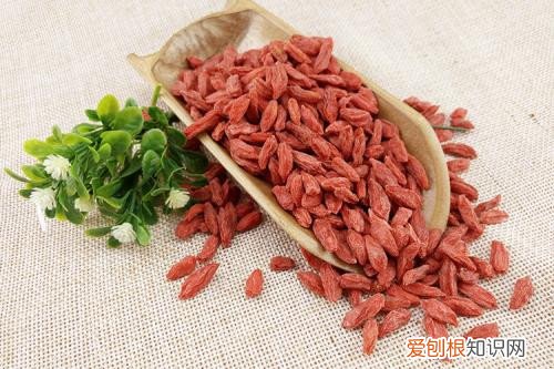 宁夏枸杞子多少钱一斤 枸杞子有什么功效作用