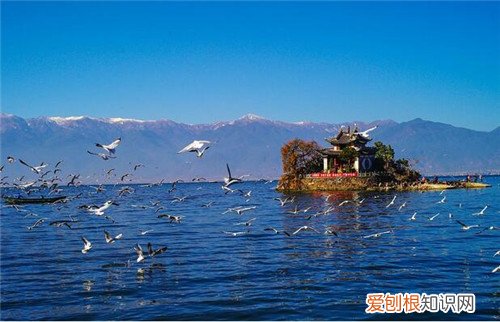 2018年春节适合去哪里旅游2018年春节出游攻略