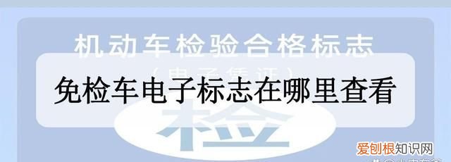 免检车电子标志在哪里看,车辆检验合格标志电子凭证在哪里看?
